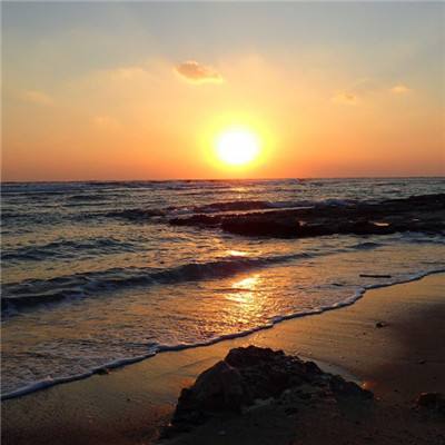 乐发app下载安装