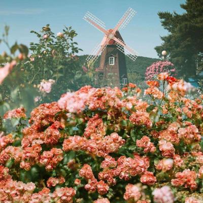 博鱼·体育app(中国)官网入口-手机版app下载