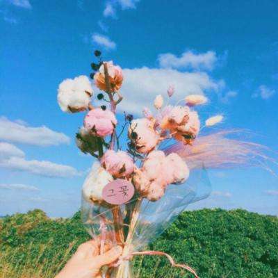 乐天堂点评指导